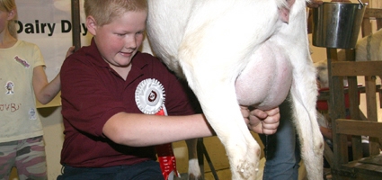 8th Dairy Day offers hands-on experience