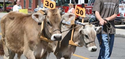 9th annual Dairy Day this Saturday
