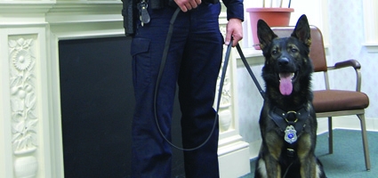 Norwich welcomes new K-9 unit