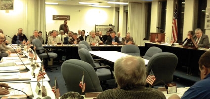 Lone voice speaks out at county's budget hearing