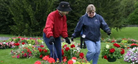 Hospice gears up for spring plant sale