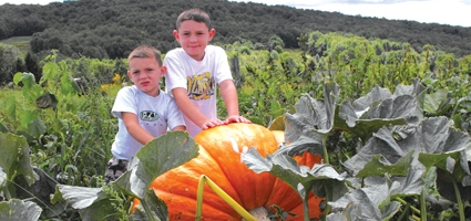 Giant pumpkin contest coming to Pumpkin Fest