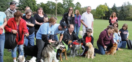 SPCA&#8200;to host third ‘Dog Walk’ fundraiser this weekend