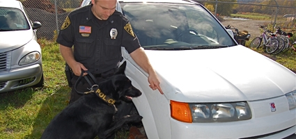 Police K-9 training comes to Norwich