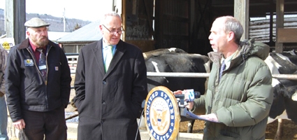 New insurance program keeps dairy farms afloat