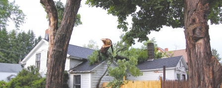 Strong evening storm causes damage throughout county