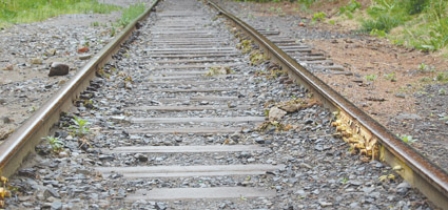 Railroad project rests on  outcome of new survey report