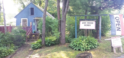 Ash Creek Herbs: Herbal Healing Festival
