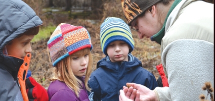 Friends of Rogers offers outdoor fun with ‘Wonders of Winter’