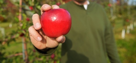 Norwich Apple Fest to bring focus to Chenango Agriculture