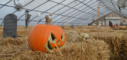 Free admission to the haunted hay maze at Pires Flower Basket, Inc.