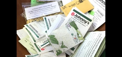 Annual seed swap at Oxford Farmers’ Market