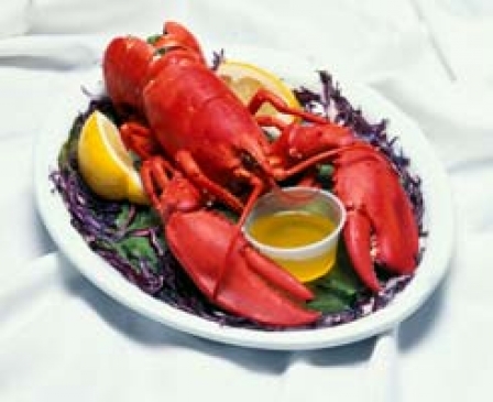 List To Attend Lobsterfest Grows