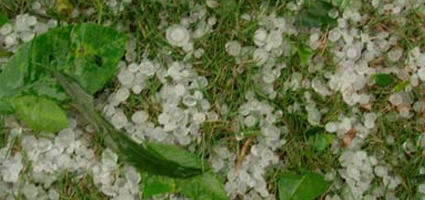 Dime to golfball-sized hail does damage in northern Chenango County