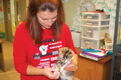 Changes afoot in a busy year for the SPCA
