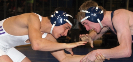 Six area wrestlers win section titles