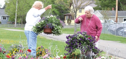 Hospice of Chenango County's Spring Plant Sale