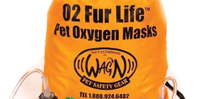 Brisben FD purchases O2 Fur Life Kit, artificial breathing equipment for pets
