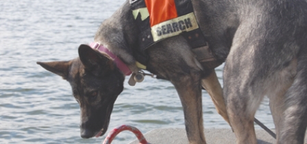 K-9 Search And Rescue Training Weekend A Success