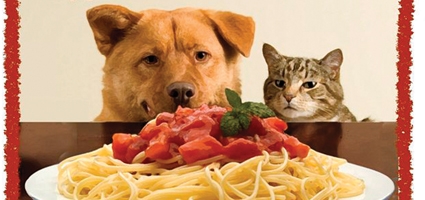 SPAY-GHETTI Dinner For All Animals Matter This Weekend