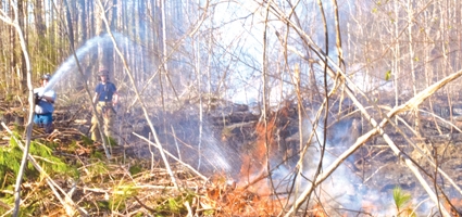 German brush fire leaves 17 acres charred, injuries reported