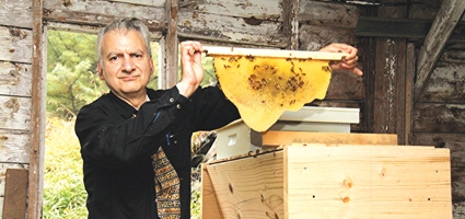 Bee Hives In Guilford