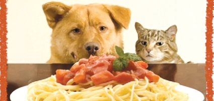 6th Annual All Animals Matter Spay-Ghetti Dinner, auction at VFW Saturday