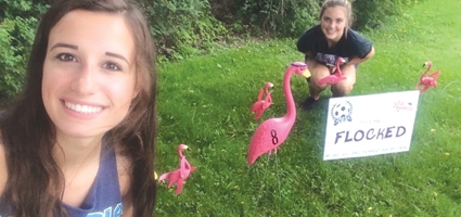 Get flocked: Flamingo fundraiser coming to a lawn near you