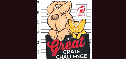 SPCA&#8200;to hold first annual ‘Great Crate Challenge’
