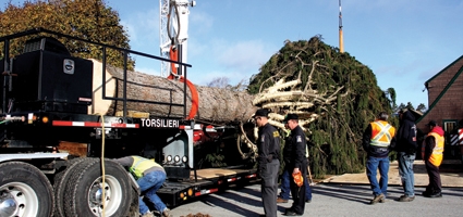 30 Rock tree plucked from City of the Hills