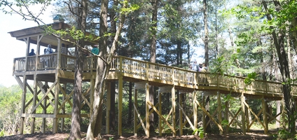 Wildlife viewing platform completed in Pharsalia Woods State Forest 