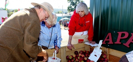32nd annual AppleFest this weekend in Greene