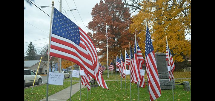 Sherburne Legion Auxiliary erects 85 flags dedicated to local veterans