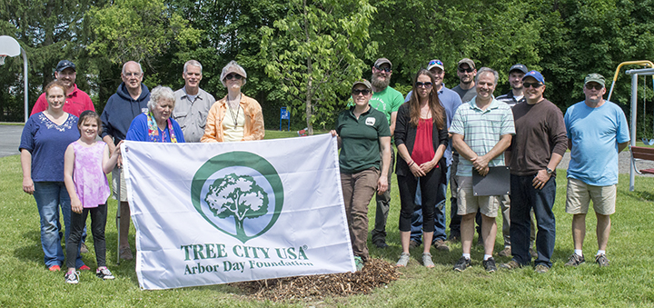 Volunteers celebrate Arbor Day by planting trees in Norwich
