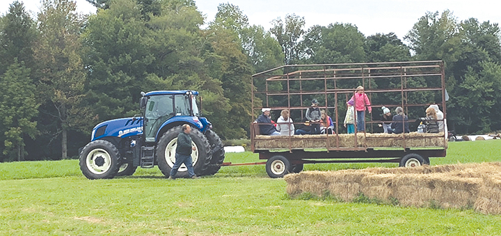Oxford farm creates 3-mile-long maze in 9-acre corn field for visitors