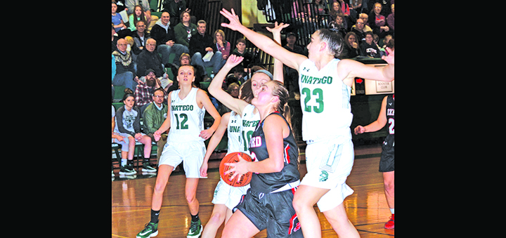 Unatego too much for Blackhawks in sectional quarterfinals