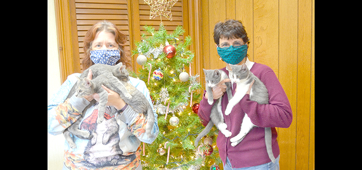 Donations to Chenango SPCA count double during December thanks to Staffworks