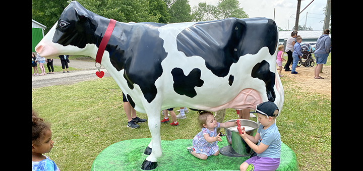 Chenango County Dairy Day Celebrated At Fairgrounds In Norwich
